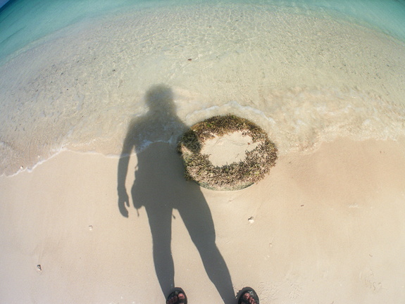 Lonely beach